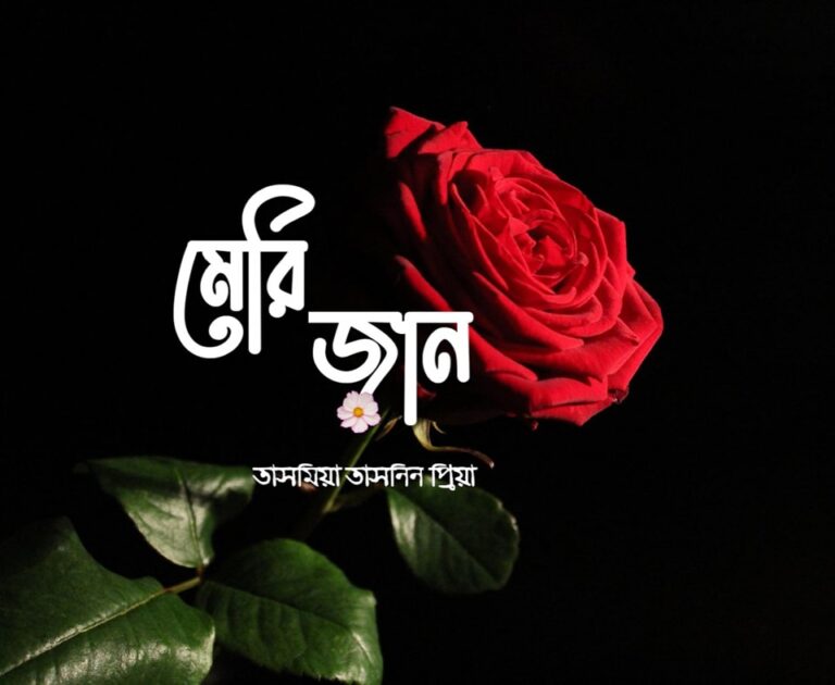 মেরি জান