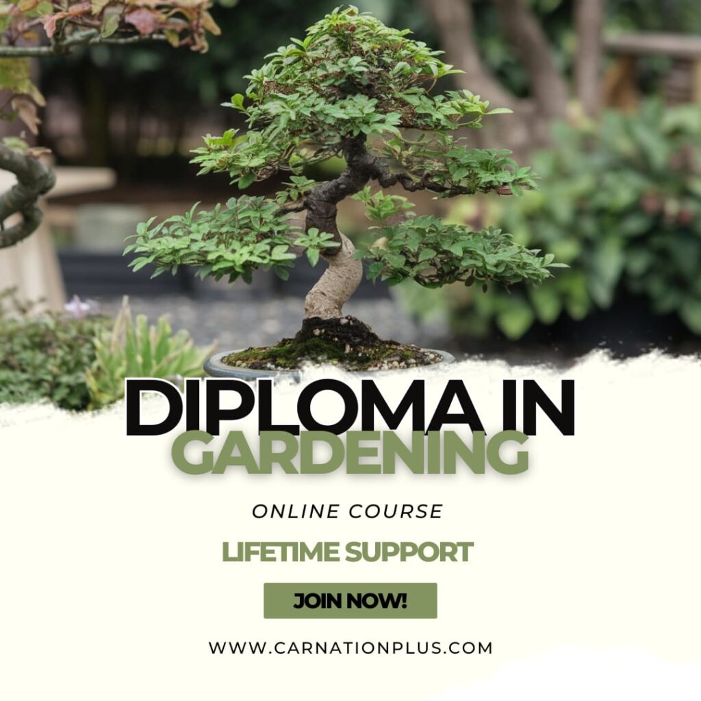 diploma in gardening